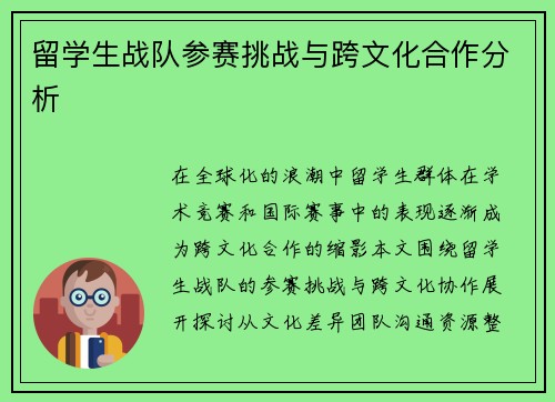 留学生战队参赛挑战与跨文化合作分析