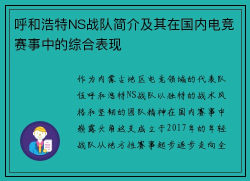 呼和浩特NS战队简介及其在国内电竞赛事中的综合表现